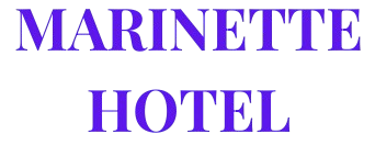 GRACE_JONES_HOTEL__1_-removebg-preview